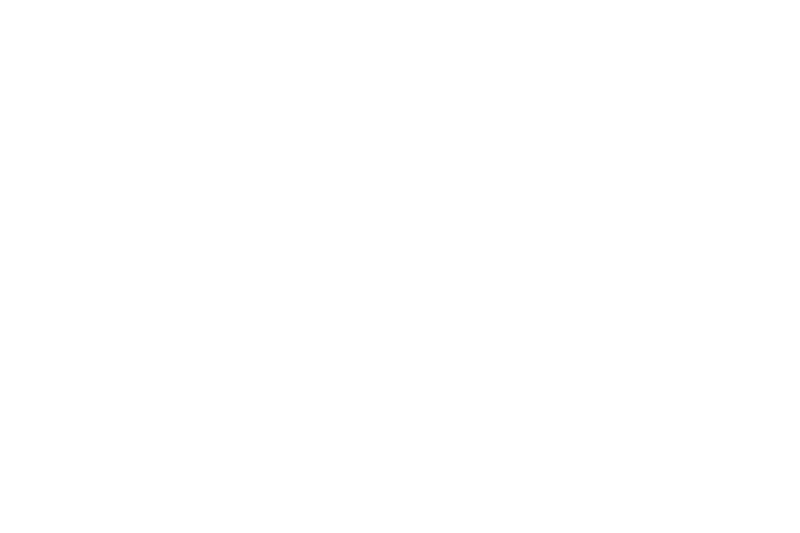 Emirates Airlines